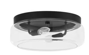 flush mount ceiling light 2 light