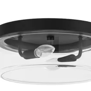 flush mount ceiling light 2 light