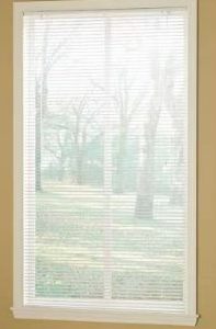 Window Blinds